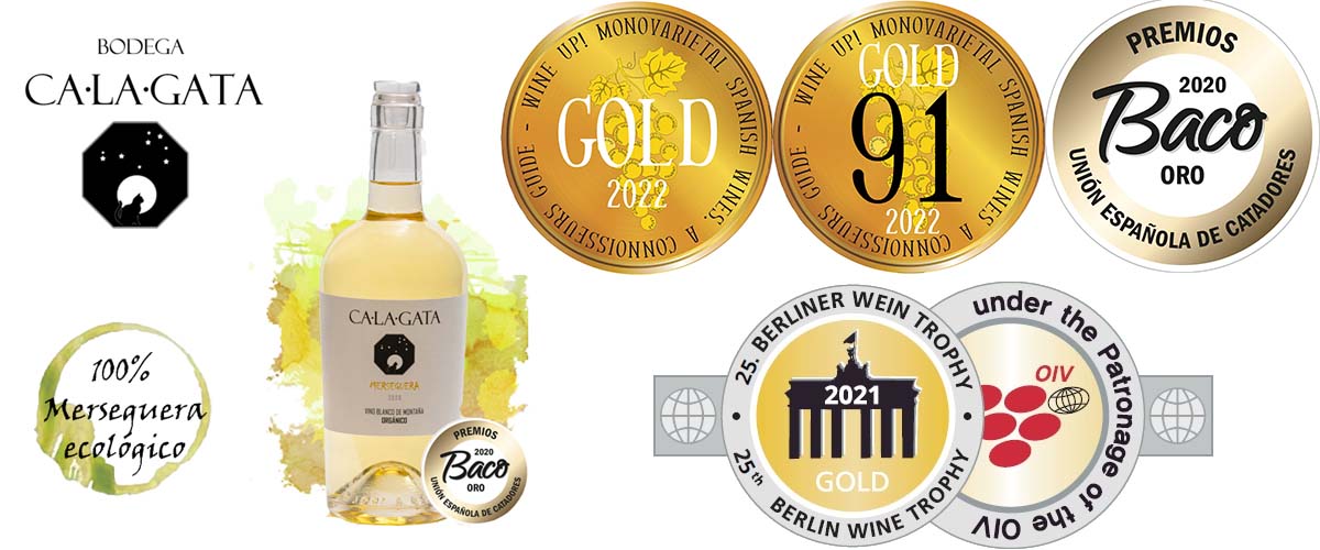 Nuestro Merseguera, elegido mejor Merseguera de España por Wine Up